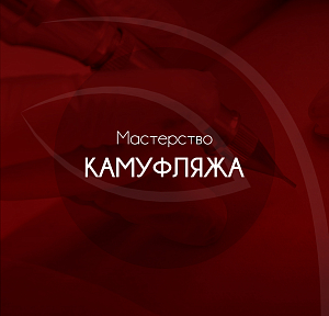 Повышение квалификации. Мастерство камуфляжа